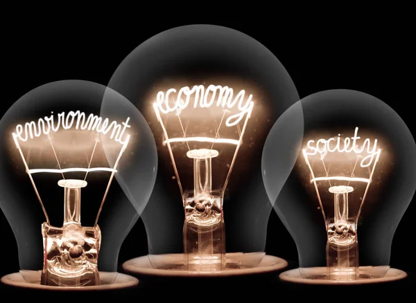 黒の背景に経済 社会の形で繊維を輝く電球の写真持続可能性の概念 — ストック写真