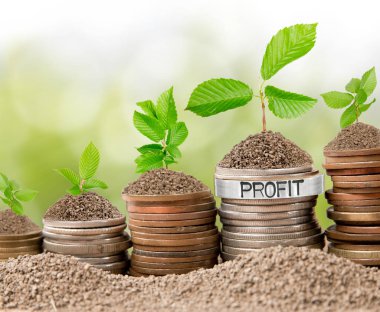 Sikke yığını kavramı