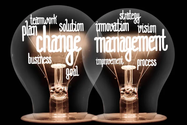 Ομάδα Λαμπτήρων Λαμπερές Ίνες Σχήμα Change Management Strategy Solution Και — Φωτογραφία Αρχείου