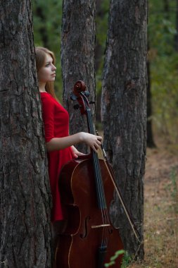 Beautiful woman in red dress with cello in the forest clipart
