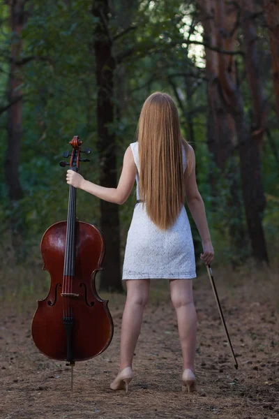 Mulher Violoncelo Jogador Com Instrumento Livre — Fotografia de Stock