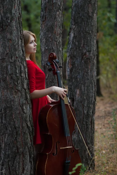 Vacker Kvinna Röd Klänning Med Cello Skogen — Stockfoto