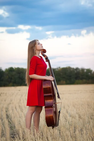 Kadın müzisyen violoncellist çello alanı ile