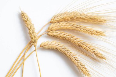 Beyaz arka plan yakın çekim Olgun buğday