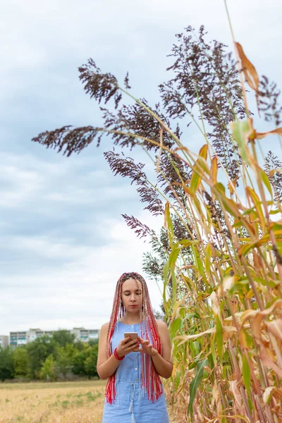 Mujer Con Coletas Africanas Usando Smartphone Campo Sorgo — Foto de Stock