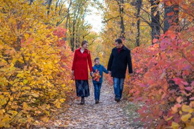 familie wandelen in herfst woud