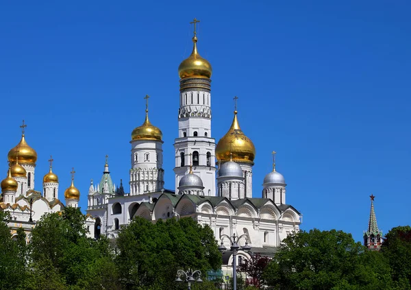 Kathedralen des Moskauer Kreml hinter Bäumen — Stockfoto