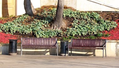 Şehir meydanında banklar