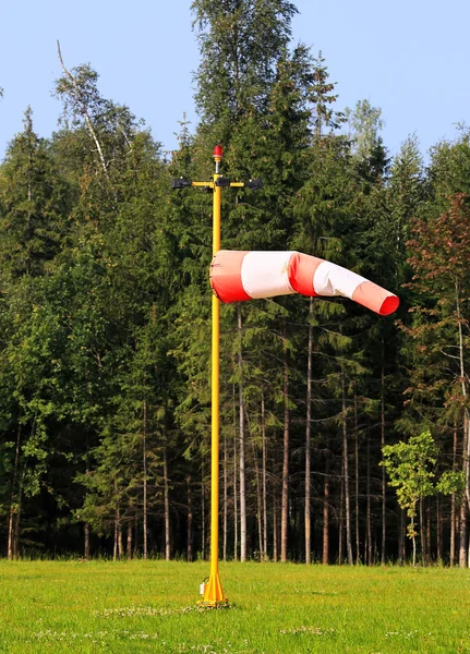 Cone-windsock on the background of trees — Stock Photo, Image