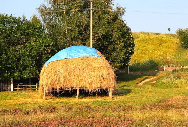 Haystack for drying — Stock Photo, Image