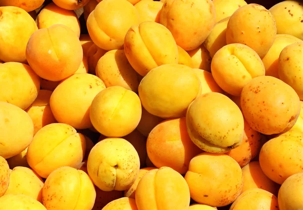 Abricots sur le marché à vendre — Photo