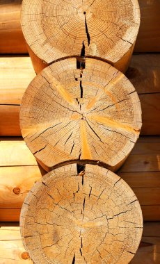 Kesitteki ahşap kütükler