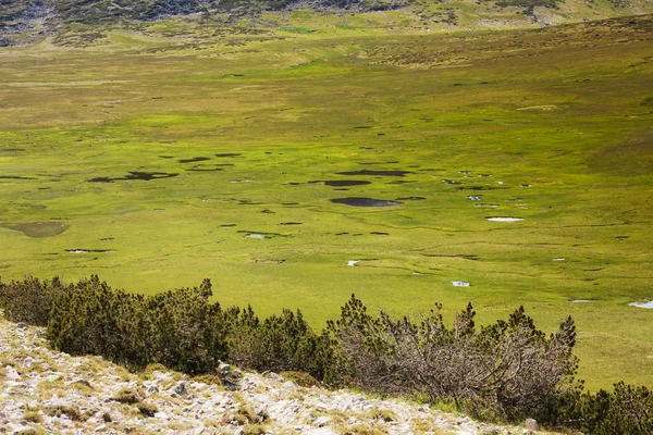 Große Grüne Wiese Den Bergen Mit Kleinen Seen — Stockfoto