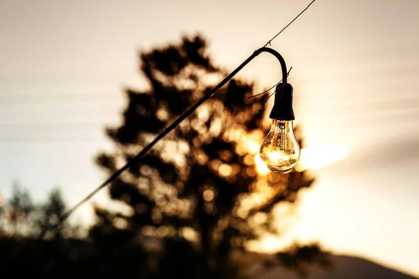silhouette light bulb hanging on an outdoor wire, sunset and a tree in background