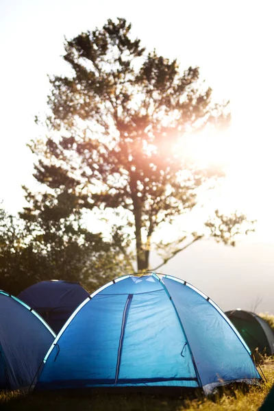 blue tent on a camping site. backlit with a sunset