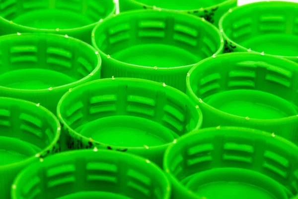 Green bottle caps — Stock Photo, Image