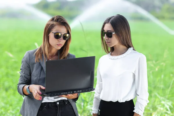 農業灌漑システムの分野でラップトップを持つビジネス女性 背景に水のスプリンクラー — ストック写真