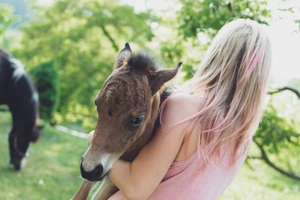 手に馬を赤ちゃん 動物の世話の概念 — ストック写真