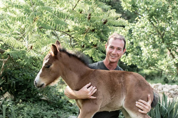 Granjero Con Potro Caballo Bebé Mano —  Fotos de Stock