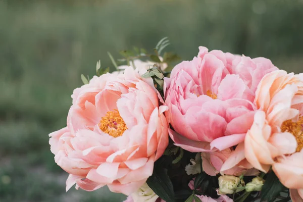 Bunch Peony Flowers — Stock Photo, Image