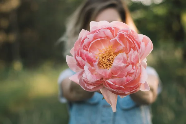 Bloemist Met Bloemen Van Pioenroos — Stockfoto