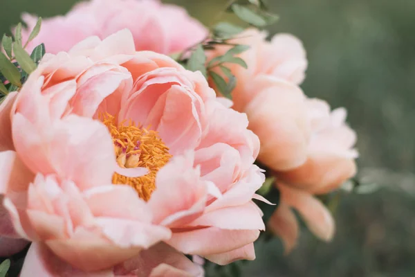 Bouquet Fleurs Pivoine — Photo