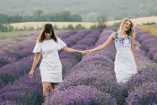 Hermosas Hermanas Caminando Campo Lavanda Cogidas Mano — Foto de Stock