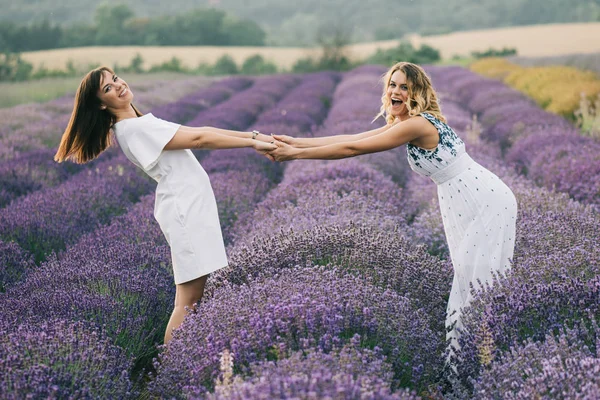 Hermosas Hermanas Caminando Campo Lavanda Cogidas Mano —  Fotos de Stock