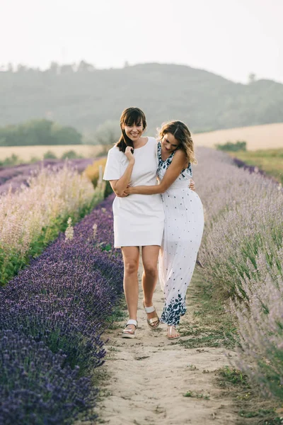 Dos Mujeres Caminando Juntas Campo Lavanda —  Fotos de Stock