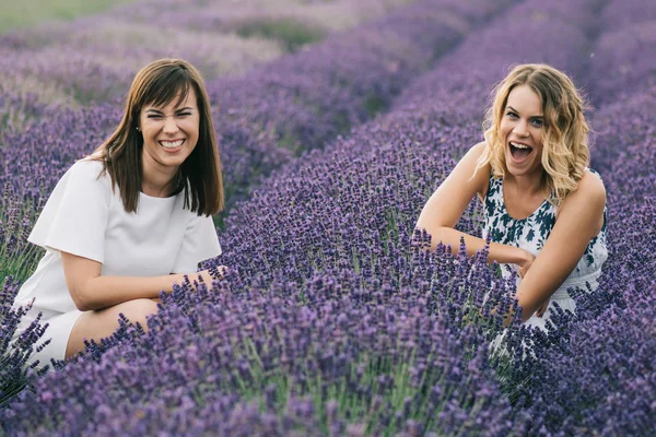 Lavanta çiçek kız