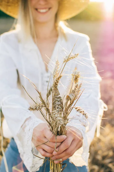Čerstvé Pšenice Ruce — Stock fotografie