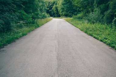 Boş orman yol görüntü