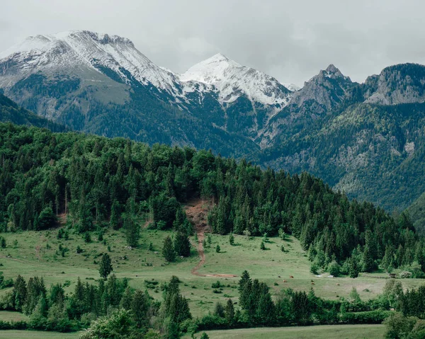 Mountain Landscape Julian Alps Slovenia — Stock Photo, Image