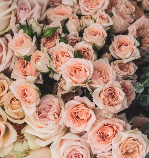 Букет Рожевих Троянд — стокове фото