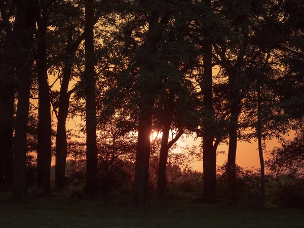 Pôr Sol Sobre Floresta — Fotografia de Stock