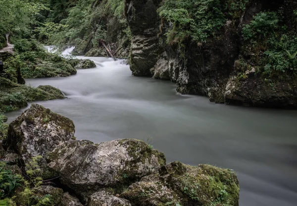 Fluindo Rio Floresta Longa Exposição Vintgar Gorge Eslovénia — Fotografia de Stock