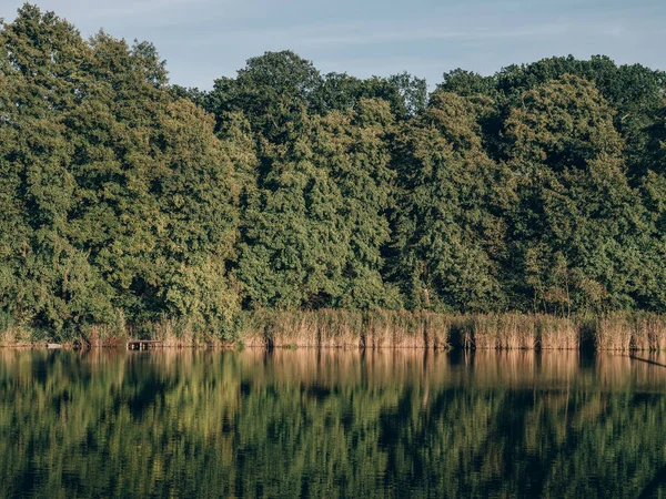 Lesní Krajina Jezerem Odrazy — Stock fotografie