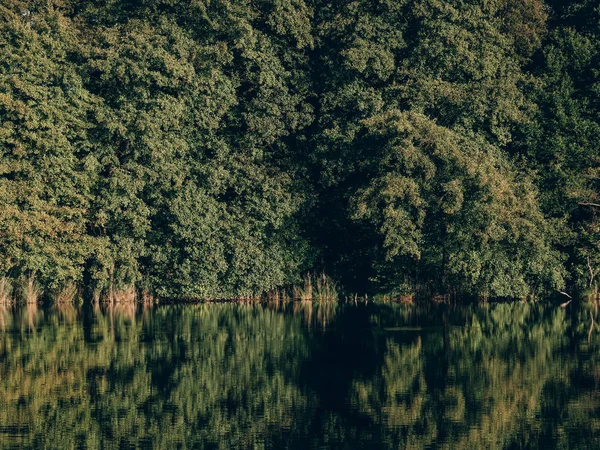 Paisaje Forestal Con Lago Reflejos — Foto de Stock