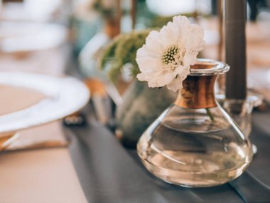 Mükemmel bir düğün dekorasyon. Düğün için çiçek masa süslemeleri