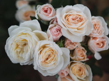 Pembe gül. Gül buketi. Vintage çiçek aranjmanı.