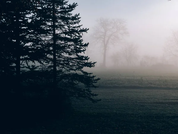 Szép Őszi Ködös Reggel Természetes Megtekintése — Stock Fotó
