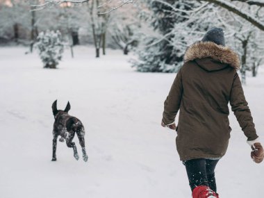 Kar köpek ile çalışan
