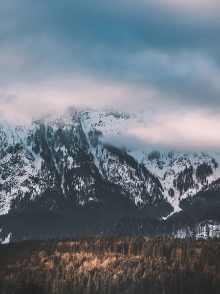 Hora Barevné Scenérie Horských Lesních — Stock fotografie