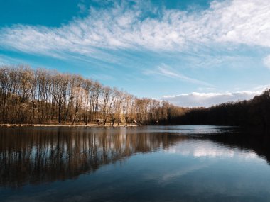 Sudaki ağaçların yansıması