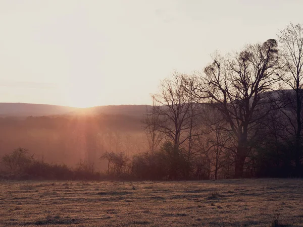 Morning Sunrise Beautiful Field — Stock Photo, Image