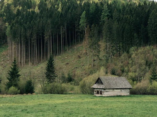 Old Wooden House Forest — Stock Photo, Image