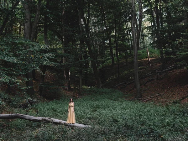 Frau Gelbem Kleid Steht Wald — Stockfoto