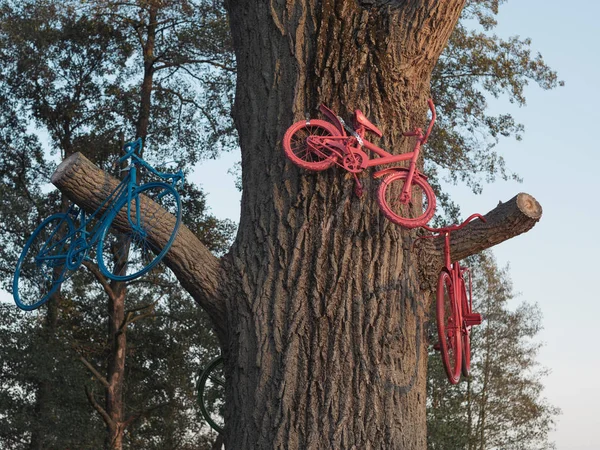 Old Bicycle Tree — Stock Photo, Image