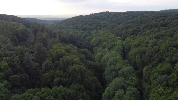 Luchtlandschap Drone Vliegen Bergketen — Stockvideo