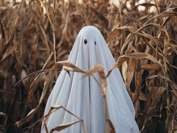 Duch Kukuřičném Poli Strašidelný Duch Halloweenu — Stock fotografie